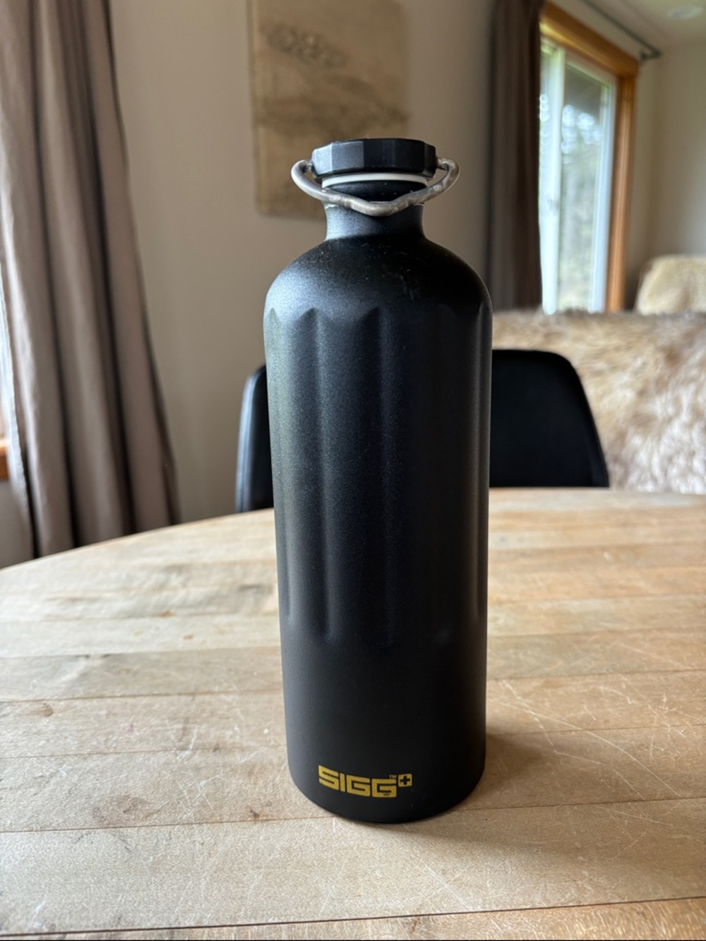Sigg Water Bottle